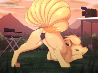 animal_genitalia animal_vulva anus ass_up barely_visible_anus bedroom_eyes black_nose black_vulva butt camera canine_genitalia canine_vulva convenient_censorship digitigrade female female_feral feral genitals grass head_down head_down_ass_up looking_at_viewer looking_back looking_back_at_viewer narrowed_eyes pawpads pink_pawpads plant presenting presenting_hindquarters presenting_vulva quadruped red_eyes seductive solo tail tail_censorship video_camera vulva vogold nintendo pokemon canid canine generation_1_pokemon mammal ninetales pokemon_(species) 4:3