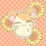 ambiguous_gender dancing feral flower fur nude orange_body orange_fur plant simple_background solo sunflower tail tan_body tan_fur young unknown_artist caramelldansen hamtaro_(series) hamtaro cricetid hamster mammal rodent 1:1 animated animation_meme frame_by_frame low_res meme short_playtime