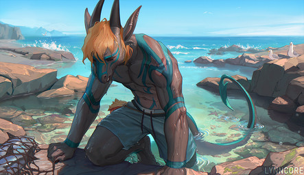 anthro clothing detailed_background ear_piercing ear_ring fishing_net hair horn male markings net outside partially_submerged piercing ring_piercing rock_pool seaside sky solo spade_tail swimming_trunks swimwear swimwear_only tail text water wave wet lynncore mythology moss_darke aquatic avian bird dragon fish gull lari larid mythological_creature mythological_scalie scalie 2025 artist_name digital_media_(artwork)