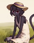 anthro clothing dress female field grass hair hat headgear headwear looking_at_viewer plant sitting smile solo whiskers cdt2s snowflake_(cdt2s) domestic_cat felid feline felis mammal hi_res