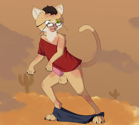 anatomically_correct animal_genitalia animal_penis balls clothes_falling_off dewclaw digitigrade eyewear fangs feline_genitalia feline_penis feral feral_transformation fur furry_balls genitals glasses growth human_to_feral loss_of_dexterity male mid_transformation penile_spines penis pink_nose sheathed_tapering_penis snout snout_growth solo species_transformation stripes tabby_fur tail tan_body tan_fur tan_skin teeth transformation white_body white_fur gardenhead felid feline felis human mammal sand_cat absurd_res hi_res