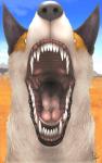 2018 alphaschakal ambiguous_gender black_body black_fur black_lips bodily_fluids canid canine canis detailed_background digital_media_(artwork) fangs feral front_view fur gaping_mouth hi_res jackal lips male male_pred mammal mouth_shot open_mouth palate pink_tongue saliva savanna shadow_pup23 solo teeth throat tongue white_body white_fur yellow_body yellow_fur