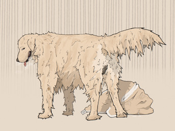 anatomically_correct balls bedding blanket bodily_fluids breath butt cum cum_stain cum_string drooling feral fluffy fur genital_fluids genitals looking_at_viewer looking_back male open_mouth presenting presenting_hindquarters quadruped realistic_feral rear_view saliva saliva_string simple_background smile solo standing three-quarter_view tongue tuft yellow_body yellow_fur hotdogmeat bird_dog canid canine canis domestic_dog golden_retriever hunting_dog mammal retriever 2025 digital_media_(artwork) hi_res