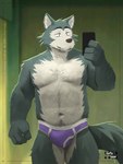 anthro beer_belly blue_body blue_fur body_hair bulge cellphone chest_hair clothed clothing countershading detailed_bulge electronics erection erection_under_clothing fluffy fluffy_tail fur male multicolored_body multicolored_fur musclegut muscular phone selfie smartphone solo tail underwear white_body white_countershading white_fur murkyhaze beastars legoshi_(beastars) canid canine canis mammal wolf 3:4 hi_res