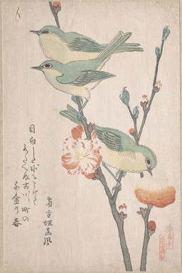 ambiguous_feral ambiguous_gender avian_feet beak biped bipedal_feral branch feathered_wings feathers feral flower green_body green_feathers group leaf looking_down on_branch plant simple_background standing tail tail_feathers text trio wings kubo_shunman public_domain avian bird japanese_white-eye oscine passerine zosteropid 19th_century absurd_res ancient_art hi_res japanese_text traditional_media_(artwork) translation_request