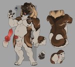 animal_genitalia animal_penis anthro anus balls balls_blush big_balls black_hair black_nose blue_eyes blush body_blush brown_body butt canine_genitalia canine_penis cheek_tuft chest_tuft claws collar erection facial_tuft fangs fingers fuft fur genitals grey_body grey_fur grey_nipples grey_pawpads hair knot looking_at_viewer male navel neck_tuft nipples nude open_mouth pawpads penis penis_tip short_hair simple_background smile solo spread_butt spreading tail tail_tuft tan_body tan_fur teeth tongue tongue_out tuft white_body white_fur conditional_dnp tgt1512 canid canine canis domestic_dog mammal digital_media_(artwork) hi_res model_sheet