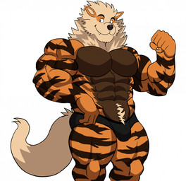 abs anthro anthrofied biceps black_clothing black_underwear body_hair bulge calf_muscles clothed clothing deltoids flexing forearm_muscles fur happy_trail male muscular muscular_anthro muscular_male obliques pecs quads serratus simple_background solo striped_body striped_fur stripes topless topless_anthro topless_male triceps underwear underwear_only v-cut white_background darknaigart nintendo pokemon arcanine generation_1_pokemon pokemon_(species) 2025 hi_res
