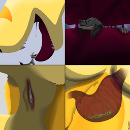 animal_genitalia anthro balls bodily_fluids dripping duo esophagus female female_pred genitals in_throat inside_mouth inside_stomach internal looming looming_over macro macro_female macro_pred male male/female male_prey micro micro_male micro_on_tongue micro_prey open_mouth oral_vore organs penis safe_vore saliva saliva_drip saliva_string sheath soft_vore stomach tongue vore willing_prey x-ray_view weaselclaw slaika_(weaselclaw) canid canine fennec_fox fox mammal sergal true_fox 1:1 comic hi_res