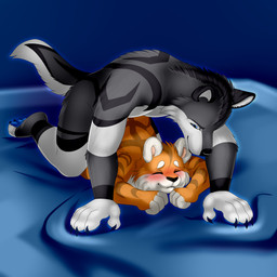 anthro blue_background doggystyle duo female feral from_behind_position fur grey_body grey_fur implied_nudity male male/female orange_body orange_fur penetration sex simple_background vaginal vaginal_penetration khramchee canid canine canis mammal wolf 1:1 absurd_res hi_res