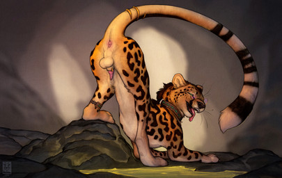 anatomically_correct anatomically_correct_genitalia anatomically_correct_penis animal_genitalia animal_penis anus ass_up attached_sheath balls bodily_fluids butt collar dripping ear_piercing ear_ring erection eyewear feet feline_genitalia feline_penis feral fur furgonomic_piercing furgonomics genital_fluids genital_piercing genitals glasses looking_at_viewer looking_back looking_back_at_viewer male orange_balls orange_sheath penis piercing precum precum_drip quadruped raised_tail rear_view ring_piercing sheath sheath_piercing sheath_ring smile solo spots stripes tail tail_anus teeth toes tongue tongue_out whiskers anchee roidhcheetah cheetah felid feline king_cheetah mammal 2026 digital_drawing_(artwork) digital_media_(artwork) hi_res