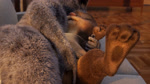 anthro anthro_on_anthro anthro_penetrated anthro_penetrating anthro_penetrating_anthro big_dom_small_sub biped blurred_background breath brown_body brown_eyes brown_fur close-up curling_toes dominant duo fast_sex feet female female_penetrated fingering fingering_partner fingers flat_chested fur furniture genitals interspecies larger_male leg_markings looking_pleasured lying male male/female male_on_anthro male_penetrating male_penetrating_female markings multicolored_ears nude on_back open_mouth outside panting paws penetration pink_nose predator/prey pussy rough_sex semi-anthro sex size_difference smaller_anthro smaller_female smaller_penetrated socks_(marking) sofa tongue vaginal vaginal_fingering hakya11 jenny_(hakya11) sam_(hakya11) mammal mustelid otter procyonid raccoon 16:9 3d_(artwork) 3d_animation animated better_version_at_source digital_media_(artwork) hi_res loop no_sound short_playtime webm widescreen