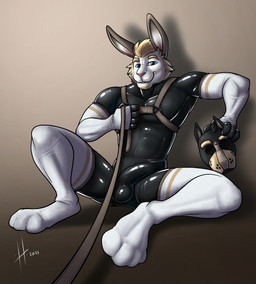 animal_mask anthro armwear athletic athletic_anthro athletic_male black_bodysuit black_clothing black_latex black_skinsuit blonde_hair bodysuit brown_harness brown_leash bulge closed_smile clothed clothing detailed_bulge footwear front_view fur genital_outline glistening glistening_eyes hair harness holding_leash holding_mask holding_object latex latex_bodysuit latex_clothing latex_skinsuit leash looking_at_viewer male male_anthro mask mouth_closed penis_outline pup_mask sitting skinsuit smile socks solo spread_legs spreading tight_clothing white_armwear white_body white_clothing white_footwear white_fur white_socks hufnaar lagomorph leporid mammal rabbit 2021 absurd_res dated hi_res