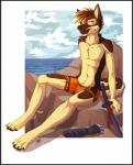 abs anthro beach border chest_tuft clothing fur gloves grey_border handwear male melee_weapon outside pecs seaside solo summer swimwear sword tuft weapon gothwolf theranox canid canine canis domestic_dog german_shepherd herding_dog mammal pastoral_dog 2015 digital_media_(artwork) hi_res