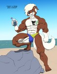 abs anthro beach bedroom_eyes beverage blonde_hair blue_eyes brown_body brown_fur bulge clothing flirting fur grin hair male muscular narrowed_eyes pecs pose rock seaside seductive sexy_eyes smile solo speedo swimwear tattoo umbrella_drink kaiserwolf randal_drake border_collie canid canine canis collie domestic_dog herding_dog mammal pastoral_dog sheepdog absurd_res hi_res pinup