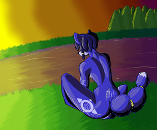 anthro breasts female grass looking_away nude plant river slim small_breasts solo sunset water remwithpen nintendo star_fox krystal_(star_fox) canid canine fox mammal hi_res