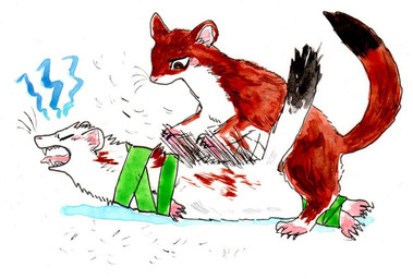 ambiguous_gender blush bound dipstick_tail duo eyes_closed feral fur lying markings open_mouth scratching simple_background tail tail_markings teeth tongue white_background white_body white_fur kyokyota mammal mustelid musteline stoat true_musteline weasel 2015 traditional_media_(artwork)