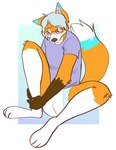 anthro blue_background blue_body blue_fur blush clean_diaper clothed clothing diaper embarrassed eyewear fur glasses holding_ankle holding_leg looking_down male orange_body orange_fur shirt simple_background sitting solo topwear wearing_diaper white_background white_body white_fur slusheep canid canine fox mammal 2019