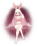 anthro blush bra clothing female lingerie looking_at_viewer sitting smile solo underwear whiskers fumiko beastars haru_(beastars) domestic_rabbit dwarf_rabbit lagomorph leporid mammal oryctolagus rabbit 2020 digital_media_(artwork) hi_res shaded