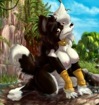 angello_cauich anthro big_breasts biped border_collie breasts canid canine canis chest_tuft collie domestic_dog female fur herding_dog hi_res kneeling looking_at_viewer mammal nipples nude outside pastoral_dog plant sheepdog sitting sky smile solo tail tree tuft water wood