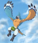 anthro armpit_hair beak big_bulge body_hair bulge chest_tuft clothed clothing cloud feathers flying male outside pubes skimpy sky solo thong tuft underwear corrsk breath_of_the_wild nintendo the_legend_of_zelda kass_(tloz) avian bird rito digital_media_(artwork) hi_res