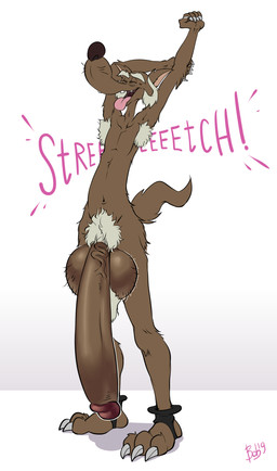 3_toes 5_fingers anthro anthrofied arm_tuft armpit_hair athletic athletic_anthro athletic_male ball_tuft balls big_balls big_penis biped black_nose body_hair brown_body brown_fur butt butt_tuft calf_tuft casual_nudity chest_fur claws collarbone curling_tail ears_outwards elbow_tuft elderly elderly_anthro elderly_male eyebrows eyes_closed feet fingers fist flaccid fluffy fluffy_tail foreskin fur genitals glistening glistening_balls glistening_genitalia glistening_penis grey_armpit_hair grey_eyebrows grey_finger_claws grey_hair grey_pubes grey_toe_claws hair hairy_balls hand_on_elbow hip_tuft huge_balls huge_penis humanoid_feet humanoid_genitalia humanoid_hands humanoid_heel humanoid_penis hyper hyper_balls hyper_genitalia hyper_penis knee_tuft leg_tuft male moan morning_stretch navel nude open_mouth paws pecs penis pivoted_ears plantigrade pose pubes purple_foreskin raised_arms raised_tail shadow shoulder_tuft skinny skinny_anthro skinny_male slim slim_anthro slim_male snaggle_teeth solo sound_effects spats standing stretching stretching_arms tail text thick_eyebrows thigh_tuft toe_claws toe_tuft toes tongue tongue_out tuft uvula vein veiny_penis whiskers wide_hips yawn bobthetanuki disney the_coyote's_lament bent-tail canid canine canis coyote mammal 2019 colored dated digital_drawing_(artwork) digital_media_(artwork) english_text flat_colors hi_res pinup shaded signature sketch