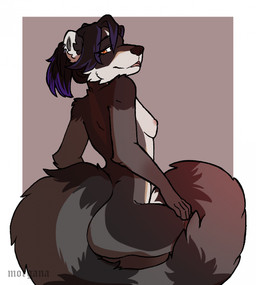 amber_eyes anthro black_body black_fur black_hair blue_hair breasts ear_piercing female fluffy fluffy_tail fur grey_body grey_fur hair looking_at_viewer looking_back nude nude_female piercing seductive simple_background small_breasts solo tail white_body white_fur morgdl riley_blaine mammal procyonid raccoon hi_res