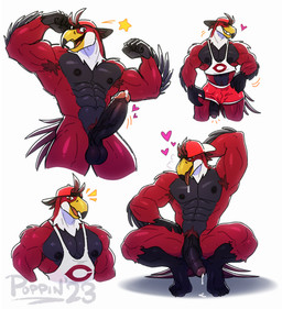 abs anthro armpit_hair athletic_wear backwards_baseball_cap backwards_hat balls baseball_cap beak bedroom_eyes big_muscles big_penis black_balls black_body black_feathers black_nipples black_penis blush blush_lines bodily_fluids body_hair bottomwear clothed clothing countershade_face countershade_torso countershading crop_top crouching darkened_genitalia dripping emblem erection feathers feet flexing flexing_bicep flexing_both_biceps foreskin genital_fluids genitals gym_bottomwear gym_shorts hand_behind_head hat hat_only headgear headgear_only headwear headwear_only hotpants humanoid_feet humanoid_genitalia humanoid_penis jock logo logo_on_shirt looking_at_viewer male mascot mostly_nude muscular muscular_anthro muscular_male narrowed_eyes nipples open_beak open_mouth orange_eyes penis penis_poking_out penis_through_leghole plantigrade precum precum_drip precum_on_ground red_body red_bottomwear red_clothing red_feathers red_shorts reverse_countershading saliva saliva_drip seductive shirt shorts simple_background skimpy smile solo tail tail_feathers tank_top tongue tongue_out topwear vein veiny_penis white_background white_body white_feathers conditional_dnp poppin european_mythology greek_mythology mythology university_of_chicago phil_the_phoenix avian bird mythological_avian mythological_bird mythological_creature mythological_firebird phoenix hi_res