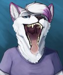 anthro black_nose blue_eyes bodily_fluids clothed clothing drooling fangs female front_view fur hair looking_at_viewer mouth_shot multicolored_hair narrowed_eyes open_mouth pink_tongue purple_ears purple_hair saliva saliva_string simple_background solo teeth tongue two_tone_hair white_body white_fur white_hair acidic kara_(vonadi) canid mammal absurd_res bust_portrait hi_res portrait