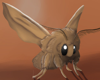 ambiguous_gender antennae_(anatomy) black_eyes brown_background feral fluffy insect_wings shadow simple_background solo standing white_eyes wings the18dragon arthropod domestic_silk_moth insect lepidopteran moth 5:4 brown_theme warm_colors