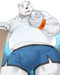 anthro belly black_nose bodily_fluids bottomwear bulge cellphone clothed clothing electronics fur humanoid_hands kemono male outside overweight overweight_anthro overweight_male phone shirt shorts smartphone solo sweat tank_top topwear underwear white_body white_fur kira_nerisu bear mammal polar_bear ursine 2020 hi_res