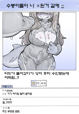after_transformation anthro ball_bulge blush breasts bulge clothed clothing comment fingers grey_body gynomorph hair implied_transformation intersex looking_at_viewer shark_tail snout solo standing tail text thick_tail thick_thighs torn_clothing transformation xeppir aquatic fish shark 2026 hi_res korean_text