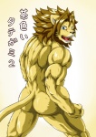 anthro balls blush butt genitals kemono looking_at_viewer male muscular muscular_anthro muscular_male nude simple_background solo text wildheit felid lion mammal pantherine japanese_text