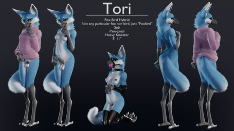 anthro armwear ball_gag balls beak black_background blue_body breasts chastity_cage chastity_device claws clothed clothing collar feet flat_chastity_cage fox_tail gag genitals gradient_background grey_background gynomorph intersex kneeling latex latex_armwear latex_clothing latex_legwear latex_stockings legwear looking_at_viewer nipple_clamp nipples nude partially_clothed penis pink_clothing pink_sweater pink_topwear scutes simple_background solo standing stockings sweater talon_hands talons text toes topwear white_body yellow_eyes ruaidri foxbird_(ruaidri) avian bird canid canine fox hybrid mammal 2026 3d_(artwork) digital_media_(artwork) hi_res model_sheet widescreen