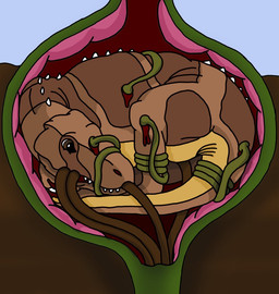 allosaurus ambiguous_gender bigger_version_at_the_source blood chuckybb corpse dead death dinosaur forced hard_vore plant rape scalie sucking tentacles vore young
Rating: Explicit
Score: -9
User: ChuckyBB
Date: January 26, 2013 allosaurus ambiguous_gender bigger_version_at_the_source blood chuckybb corpse dead death dinosaur forced hard_vore plant rape scalie sucking tentacles vore young
Rating: Explicit
Score: -9
User: ChuckyBB
Date: January 26, 2013