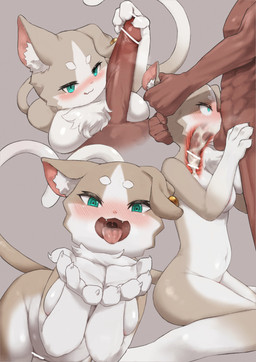 anthro biped bodily_fluids breasts cum cum_in_mouth cum_inside duo erection featureless_breasts female fur genital_fluids genitals grey_body grey_fur grey_tail inner_ear_fluff male male/female multicolored_body multicolored_fur multicolored_tail navel nude nude_female open_mouth oral oral_penetration penetration penile penile_penetration penis sex tail tuft white_body white_fur white_tail xux_(artist) re:zero puck puck_(re:zero) felid feline human mammal absurd_res hi_res