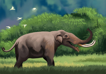 day feral flying grass grey_body grey_skin plant proboscis_(anatomy) quadruped shrub solo trunk_(anatomy) tusks agustindiazart ambient_bird parachoerodon prehistoric_species 2026