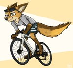 anthro bicycle brown_body brown_fur cycling eyewear fur green_eyes male smile solo sunglasses tan_body tan_fur vehicle ziegelzeig bad_guy_cafe ardent_(jrh01409) canid canine fox mammal 2023