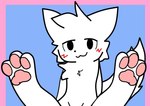 3_toes :3 ambiguous_gender blue_background blush blush_lines chest_tuft feet fur hands_behind_back hindpaw looking_at_viewer male pawpads paws pink_pawpads simple_background solo tail toes tuft white_body white_fur artectr boy_kisser_(meme) silly_cat_(mauzymice) mammal 2024 meme