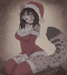 anthro bell bell_collar black_hair breasts christmas_clothing christmas_headwear clothing collar costume detailed_background dipstick_tail female fur green_eyes grey_body grey_fur hair hat headgear headwear holidays legwear looking_at_viewer markings santa_costume santa_hat solo tail tail_markings thigh_highs topwear white_body white_fur possumancer christmas clouded_leopard felid mammal pantherine