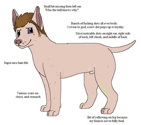 animal_genitalia black_text blue_eyes brown_hair digitigrade facial_hair feral feral_with_hair freckles fully_sheathed genitals hair hairless looking_at_viewer male male_feral narrowed_eyes notched_ear paws pink_body pink_scar pink_skin profanity scar sheath sideburns simple_background snout solo standing tail text toony white_background sebdoggo naked_blue_(sebdoggo) canid canine canis domestic_dog hairless_dog mammal 2015 aliasing digital_drawing_(artwork) digital_media_(artwork) english_text flat_colors full-length_portrait microsoft_paint_(artwork) portrait