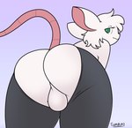 anthro backsack balls bedroom_eyes bent_over big_butt bottomless bottomwear butt butt_focus clothed clothing femboy fur genitals green_eyes green_pupils grey_bottomwear grey_clothing grey_pants hair half-closed_eyes male narrowed_eyes pants perineum pink_body pink_inner_ear pink_nose presenting presenting_hindquarters pupils purple_background seductive simple_background solo thick_thighs torn_bottomwear torn_clothing torn_pants white_balls white_body white_fur white_hair white_perineum tlumpling reggie_(whygena) mammal murid murine rat rodent 2022 hi_res