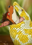 ambiguous_gender anthro anthro_prey bodily_fluids brown_hair drooling duo eating feral feral_pred flesh forest forest_background fur hair intersex intersex/intersex licking male mouth_shot nature nature_background neck_bulge open_mouth plant proud red_body red_fur saliva saliva_on_face saliva_string scales swallowing tongue tree vore willing_prey thux-ei thux canid canine fox mammal python red_fox reptile scalie snake true_fox absurd_res hi_res