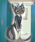 anthro bottomless clothed clothing horn inside locker_room male shirt solo standing t-shirt topwear min_furry canid canine mammal 5:6 absurd_res hi_res