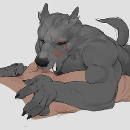anthro anthro_penetrated black_sclera duo faceless_character faceless_male fangs fellatio fur genital_danger_play grey_body grey_fur human_on_anthro human_penetrating human_penetrating_anthro interspecies male male/male male_human/male_anthro male_on_anthro male_on_human male_penetrated male_penetrating male_penetrating_male oral oral_penetration penetration penile purple_eyes scar sex simple_background teeth white_background r30b0m0 elden_ring fromsoftware blaidd_(elden_ring) canid canine canis human mammal wolf 1:1 absurd_res hi_res