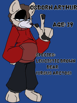 3_toes 4_fingers anthro blue_eyes bottomwear brown_hair clothing feet fingers grey_body hair jacket male pants solo text toes topwear wannapossums bear mammal 3:4 english_text model_sheet