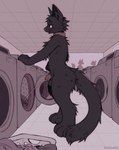 anthro appliance big_tail black_body black_fur blush bodily_fluids collar collar_only fur genital_fluids genitals half-closed_eyes inside laundromat laundry laundry_basket laundry_machine leaning_on_object looking_relieved male narrowed_eyes nude peeing penile_spines penis public public_urination solo standing tail urine urine_stream washing_machine watersports snackhorse felid mammal hi_res