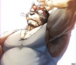 anthro armpit_hair belly bodily_fluids body_hair clothing eyebrows eyewear male musclegut muscular pecs raised_arm shirt solo sunglasses sweat tank_top thick_eyebrows tired topwear whiskers seikeikei2015 lifewonders live_a_hero viscunam mammal procyonid raccoon absurd_res hi_res