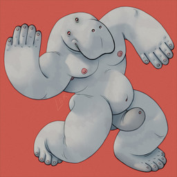 anthro belly big_penis dancing flaccid flapping_penis foreskin genitals grey_body long_penis male musclegut muscular muscular_male nipples pecs penis pink_nipples silly_pose simple_background slightly_chubby slightly_chubby_male small_eyes solo thick_penis ravuer aquatic mammal manatee sirenian 1:1 hi_res