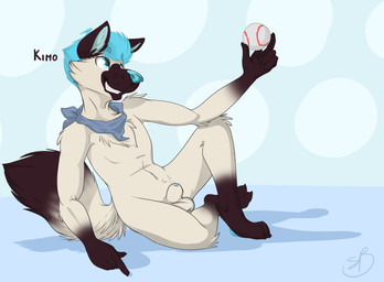 animal_genitalia anthro ball balls baseball_(ball) biped blue_eyes blue_hair blue_nose clothing fur genitals hair holding_ball holding_object kerchief male multicolored_hair nude penis penis_tip sheath simple_background smile solo teeth text backsash canid canine canis domestic_dog mammal 2015 absurd_res digital_media_(artwork) english_text hi_res shaded