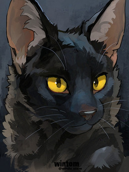 ambiguous_gender black_body black_eyes black_fur feral fur gradient_background inner_ear_fluff mouth_closed simple_background solo text tuft whiskers yellow_sclera wintom domestic_cat felid feline felis mammal artist_name digital_drawing_(artwork) digital_media_(artwork) portrait